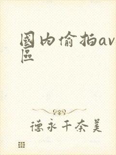 国内偷拍av一区