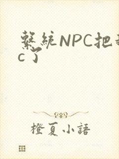 系统NPC把我c了封面