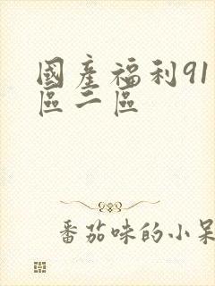 国产福利91一区二区