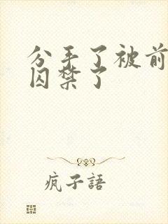 分手了被前男友囚禁了封面