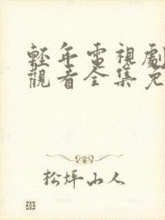 轻年电视剧在线观看全集免费播放封面