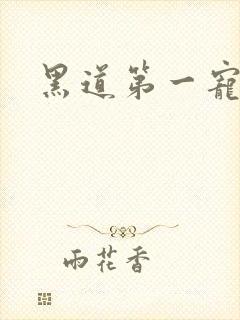 黑道第一宠婚封面