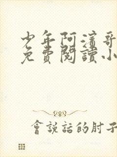 少年阿滨哥全文免费阅读小说封面