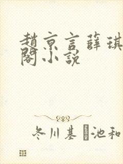 赵京言薛琪笔趣阁小说封面