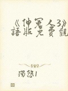 《伸冤人3》国语版免费观看