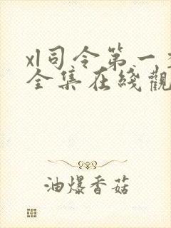 xl司令第一季全集在线观看免费播放封面