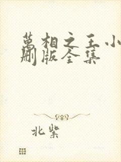 万相之王小说未删版全集