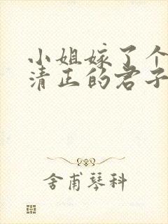 小姐嫁了个端庄清正的君子