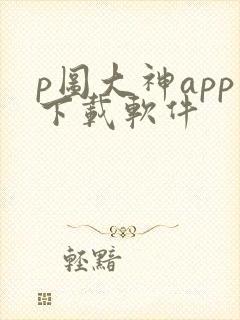 p图大神app下载软件