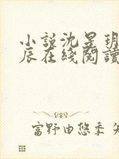 小说沈星玥裴亦辰在线阅读