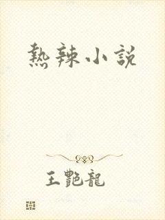 热辣小说
