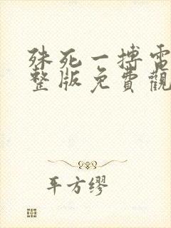 殊死一搏电影完整版免费观看封面