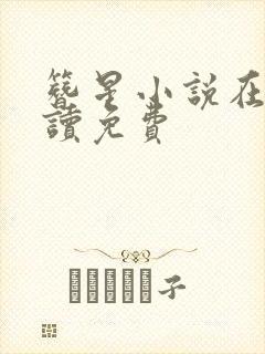 簪星小说在线阅读免费