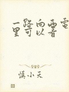 一路向西电影哪里可以看