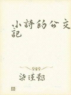 小诗的公交车日记