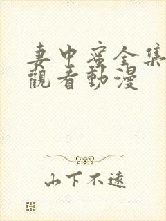 妻中蜜全集免费观看动漫