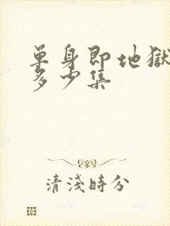 单身即地狱一共多少集封面