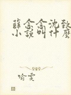 薛念念沈致宴的小说叫什么