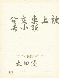 公交车上被插进去小说