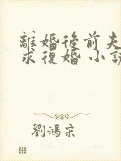 离婚后前夫哭着求复婚 小说阅读