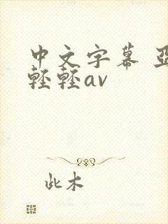 中文字幕 亚洲轻轻av