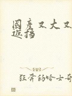 国产又大又爽无遮挡封面