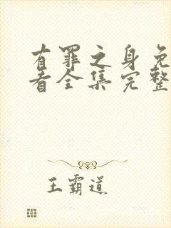 有罪之身免费观看全集完整版高清