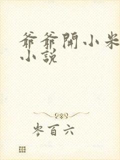 爷爷开小米的包小说