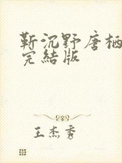 靳沉野唐栖雾已完结版