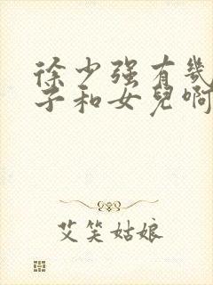 徐少强有几个儿子和女儿啊封面