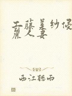 工藤美纱侵犯美丽人妻