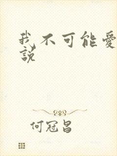 我不可能爱你小说封面