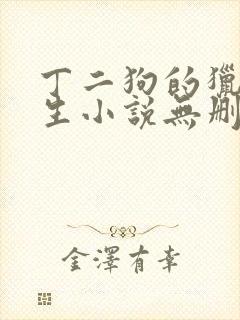 丁二狗的猎艳人生小说无删减小说