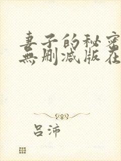 妻子的秘密日剧无删减版在线观看封面