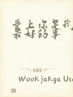 爱上你是我做过最好的事封面