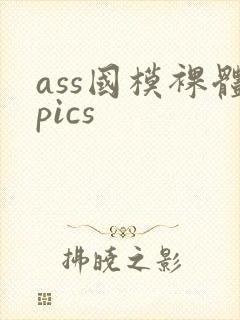 ass国模裸体pics封面