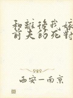 和离后我嫁给了前夫的死对头