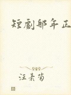 短剧那年正相逢封面