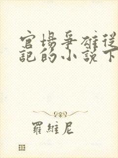 官场争雄从女书记的小说下载