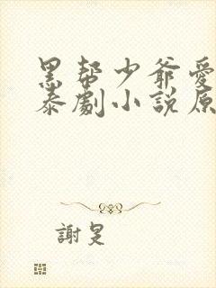 黑帮少爷爱上我泰剧小说原著