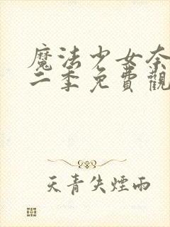 魔法少女奈叶第二季免费观看