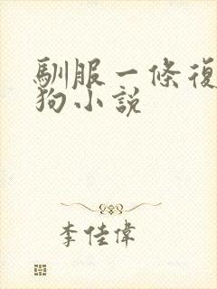 驯服一条复仇的狗小说封面