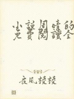 小说周晴的小说免费阅读全文