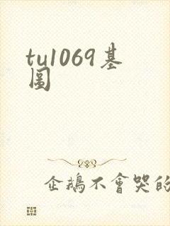 tu1069基图