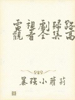 电视剧归路免费观看全集高清