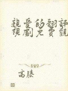 亲爱的翻译官电视剧免费观看全集高清