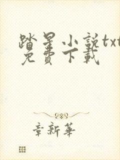 踏星小说txt免费下载