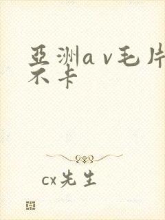 亚洲a v毛片不卡