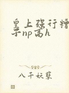 皇上强行糟蹋太子np高h