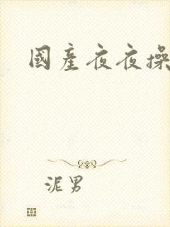 国产夜夜操av封面